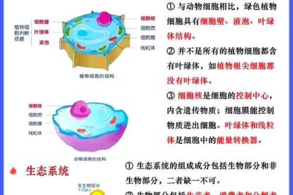 ASP生物化学，探索生命科学的奥秘-百挑一