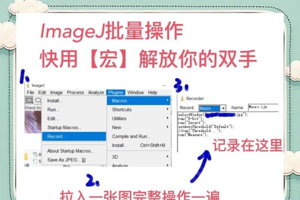 PHP文件解析与执行，如何打开与利用信息资源？-百挑一