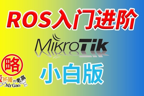 Mikrotik ROS与动态域名服务，稳定性与安全保障的双重优势-百挑一
