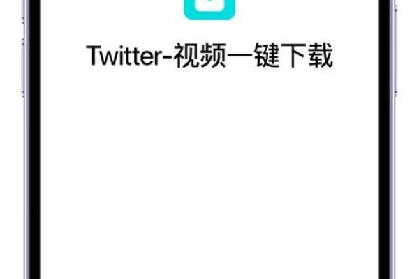 Twitter加速器下载安卓版指南-百挑一
