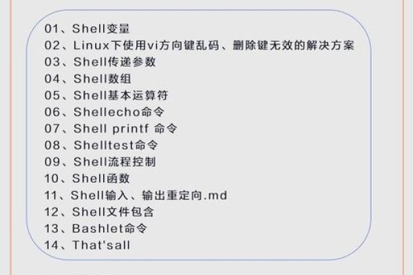 Shell编程培训，掌握编程新技能-百挑一
