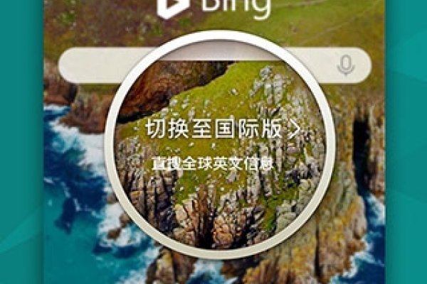 Bing搜索国内版下载指南-百挑一