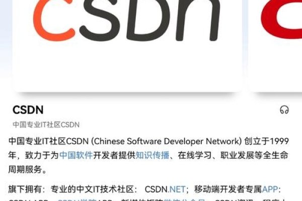 CSDN，开发者技术与职业成长平台-百挑一