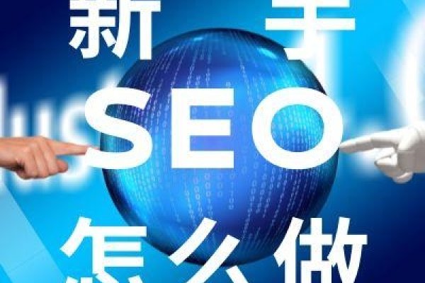 SEO56在线,探索前沿的搜索引擎优化之道-百挑一