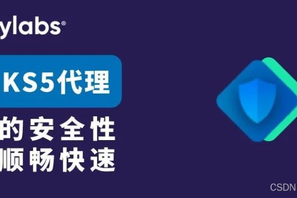 Socks5代理免费，你的网络隐私守护者-百挑一