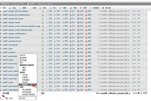 WordPress网站迁移与修复指南-百挑一
