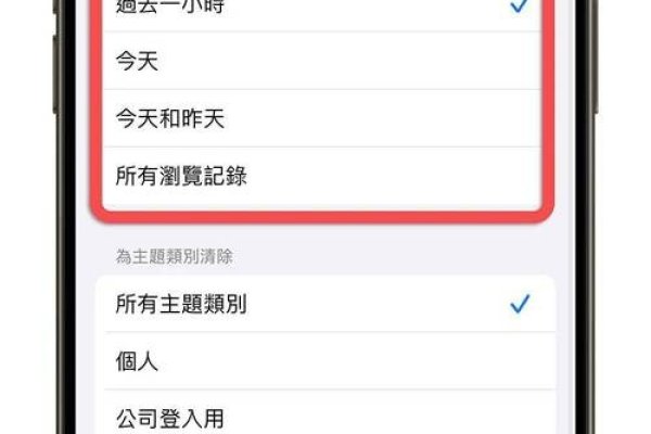iPhone Safari历史记录操作指南-百挑一