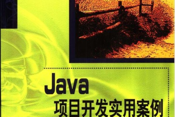 Java开发项目案例，构建电商平台的实践经历-百挑一
