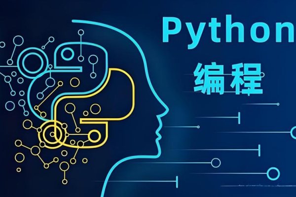 探索Python赚钱渠道，挖掘无尽机会-百挑一