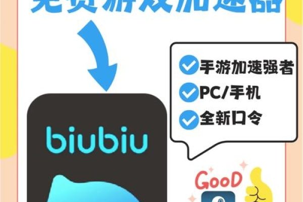 Biubiu加速器在安卓平台的优势及应用-百挑一