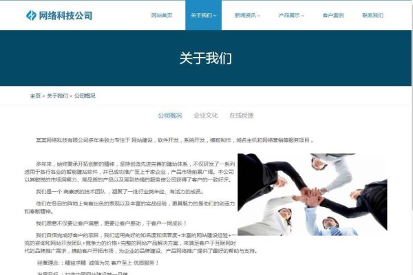 HTML5网站模板源码,构建现代网站的基石-百挑一