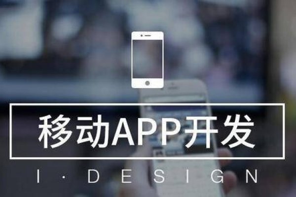 APP是否属于公司开发的产品-百挑一