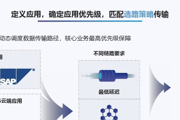 SDWAN服务器搭建详解-百挑一