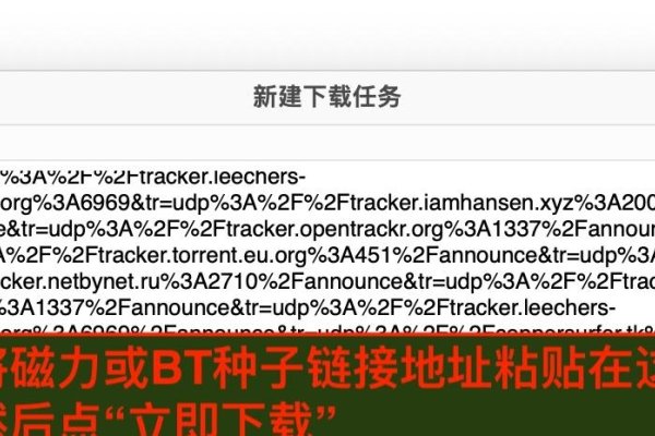 迅雷，磁力链接使用指南-百挑一