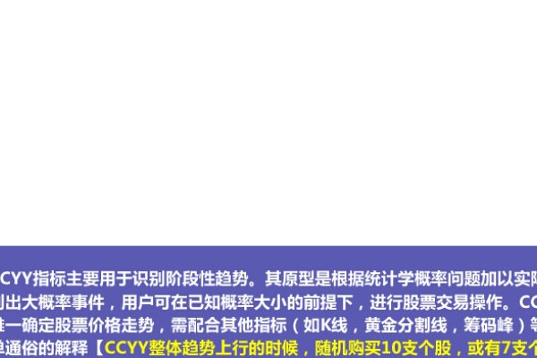 CCYY域名的探索与解析-百挑一