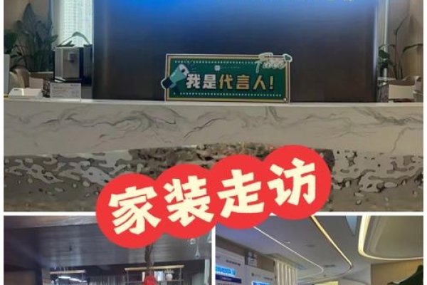 郴州SEO公司与装修公司推荐，专业优化，品质装修-百挑一