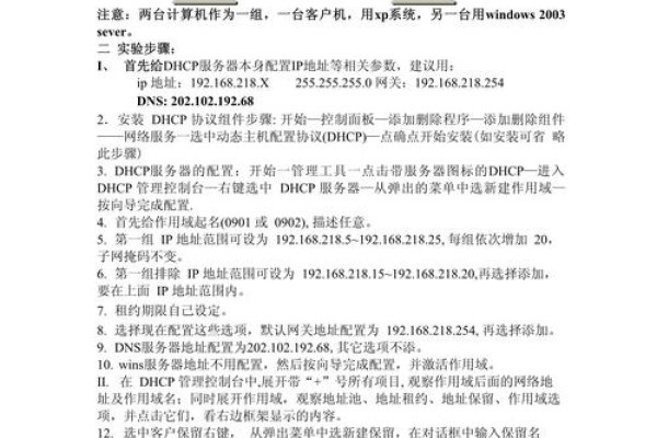 DHCP服务器搭建与配置指南，步骤详解及环境设置技巧-百挑一
