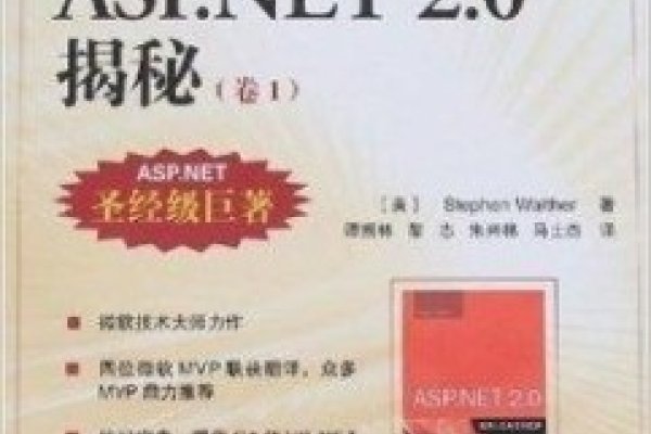 揭秘YAASP的真正含义-百挑一