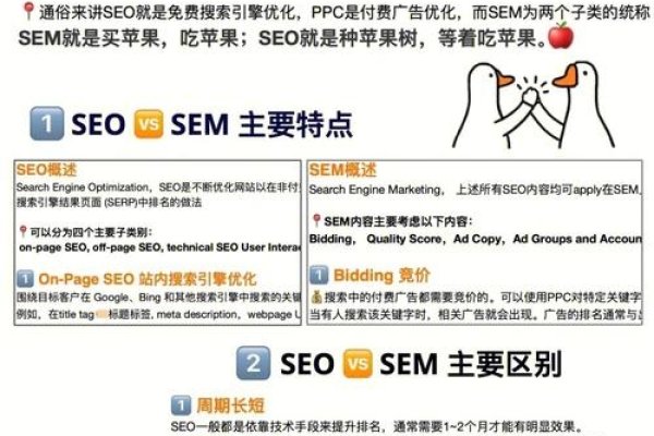 SEMSEO名词解释-百挑一