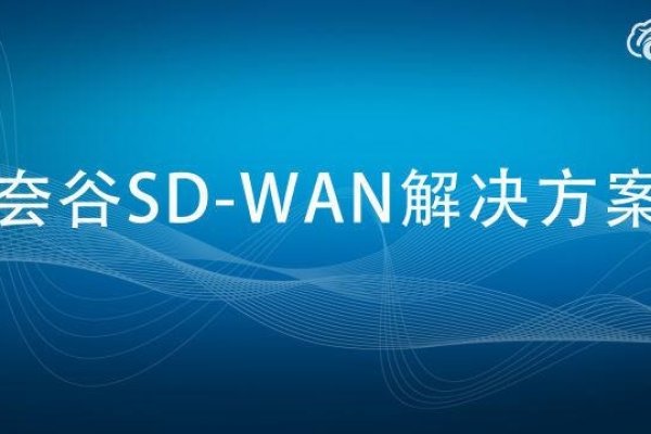 HPPRO内网穿透技术解析与应用-百挑一