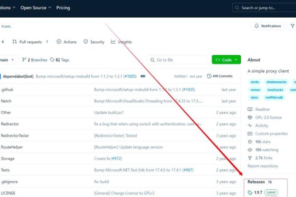 VPS访问国外网站教程-百挑一