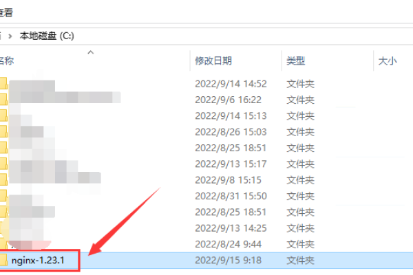 Nginx 外网域名 设置指南-百挑一