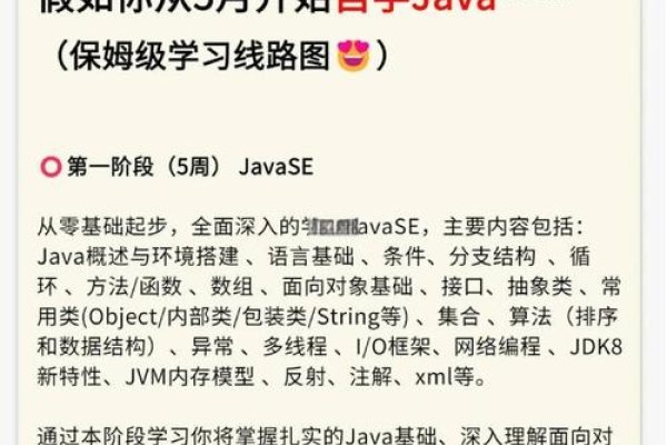 Java百炼成仙，探索Java编程之路的奥秘-百挑一