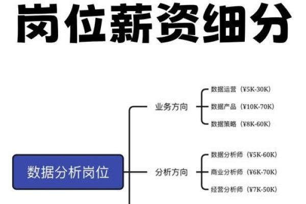 Python招聘数据分析，挖掘人才的关键要素-百挑一
