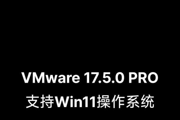 VMware虚拟机是否免费使用-百挑一