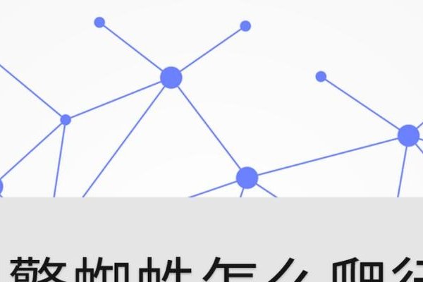 蜘蛛搜索软件下载指南-百挑一