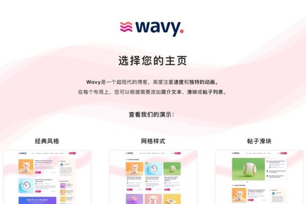 WordPress主题精简，打造简洁高效的博客体验-百挑一