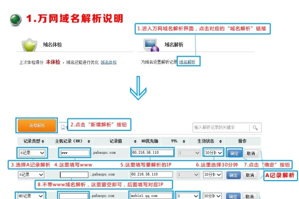 202969668域名解析与展望-百挑一