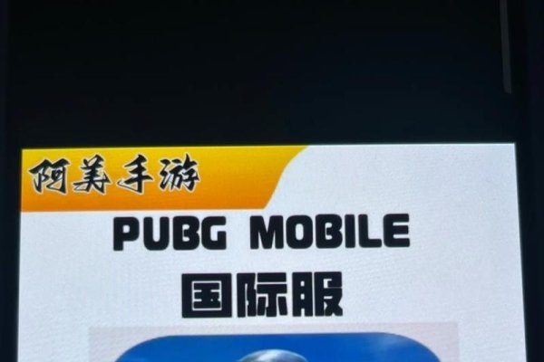 biubiu加速器下载国际服吃鸡攻略，加速外服游戏轻松体验！-百挑一