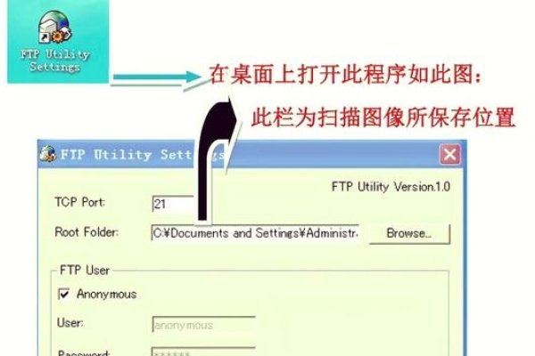 FTP访问器下载指南-百挑一