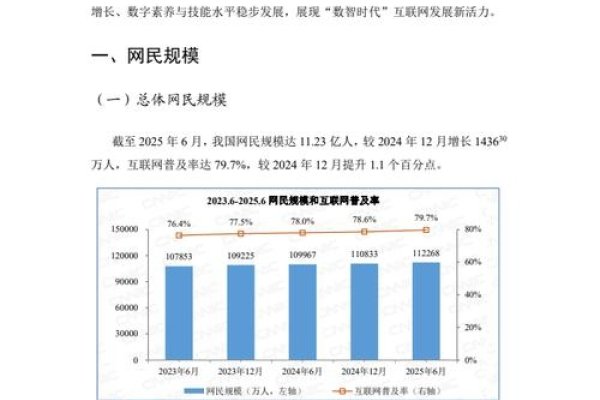 CNNIC官网报告发布次数统计及分析-百挑一