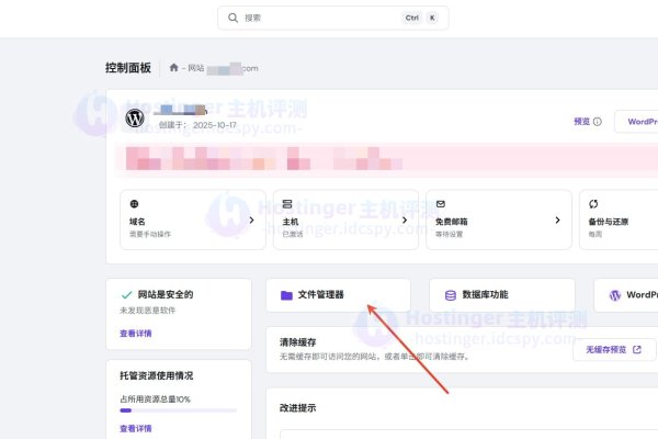 .co域名解析及其优势概览-百挑一