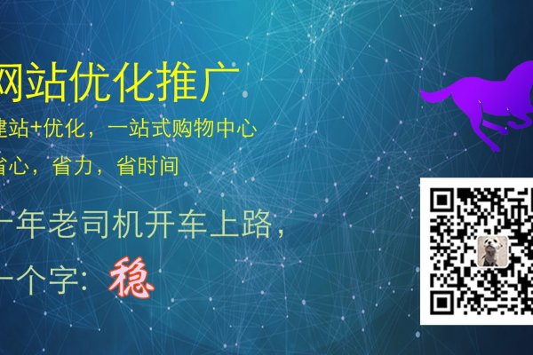 郑州SEO外包专家—阿亮-百挑一