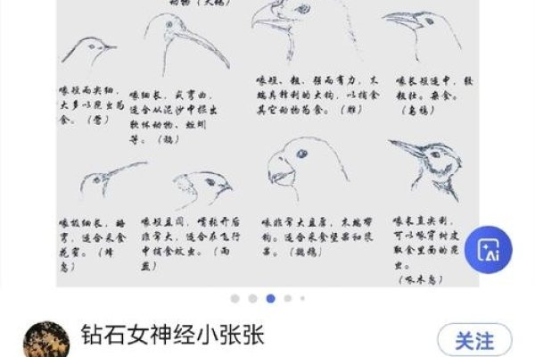 Seojoon的含义解析-百挑一