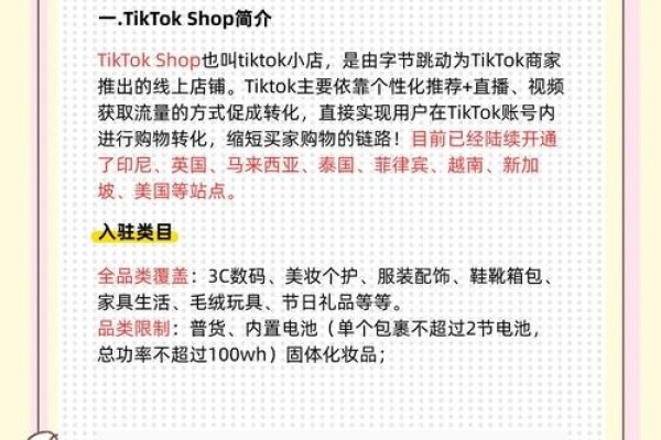 TikTok加速器推荐与使用指南-百挑一