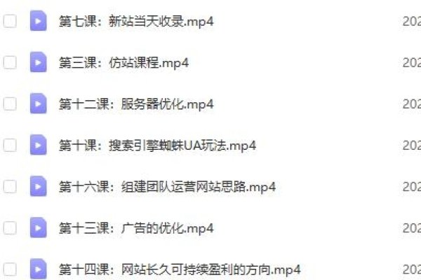 冯耀宗SEO课程，价值8000元的投资与收获-百挑一