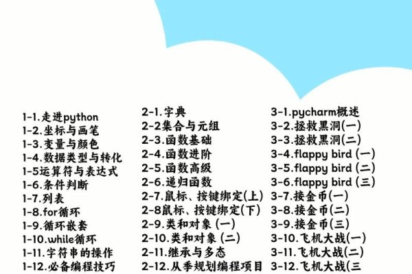 Python使用教程-百挑一