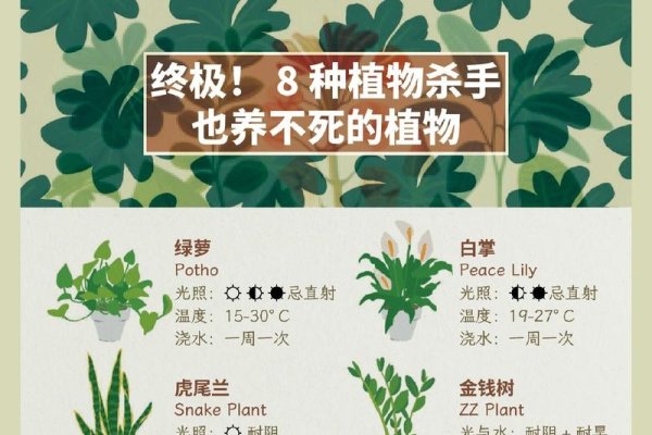 liststyletype属性详解，功能与作用-百挑一