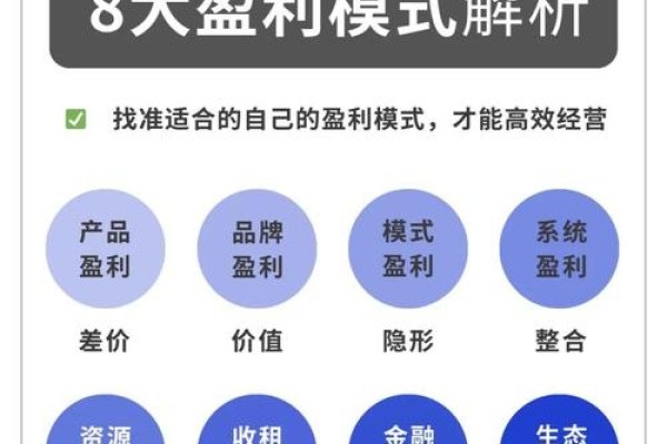 APP运营攻略，盈利方式与高效运转策略-百挑一