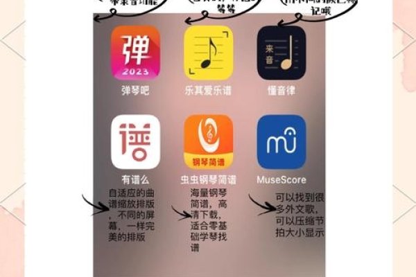 VIP音乐解析源码揭秘，解锁音乐解码新境界-百挑一
