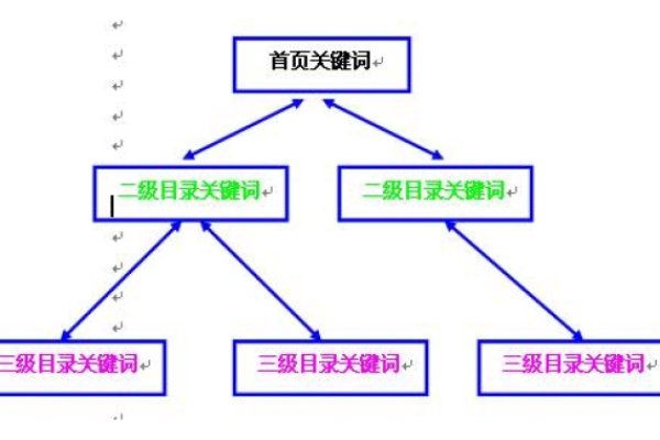 SEO优化公司哪家靠谱?深度解析与推荐-百挑一