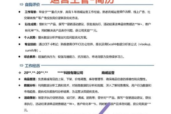 SEO专员简历-百挑一