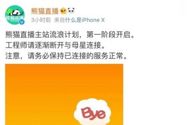 熊猫直播为何关闭？-百挑一