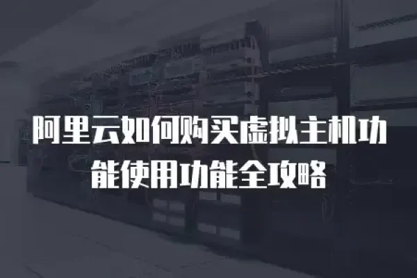 虚拟主机管理系统详解，优点、缺点与选购指南-百挑一