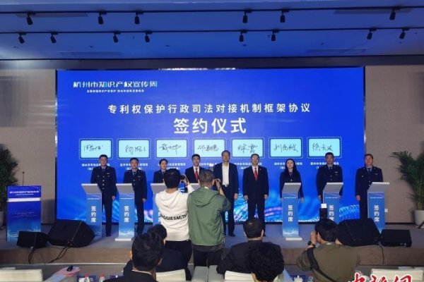 杭州知识产权综合服务流程解析-百挑一