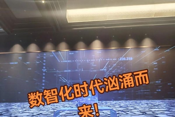 泰州专业网络公司，引领数字化时代的先锋力量-百挑一